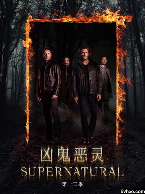 糖糖的冒险